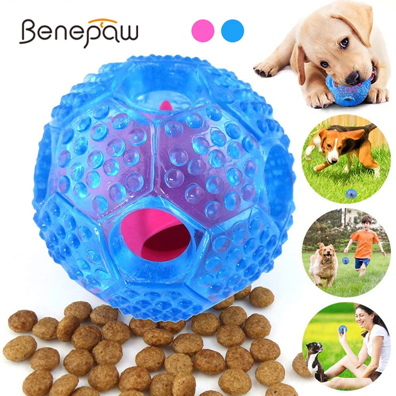 Durable IQ Treat Ball For Dogs Amore Paws