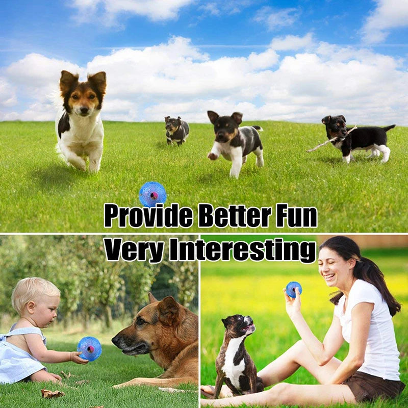 Durable IQ Treat Ball For Dogs