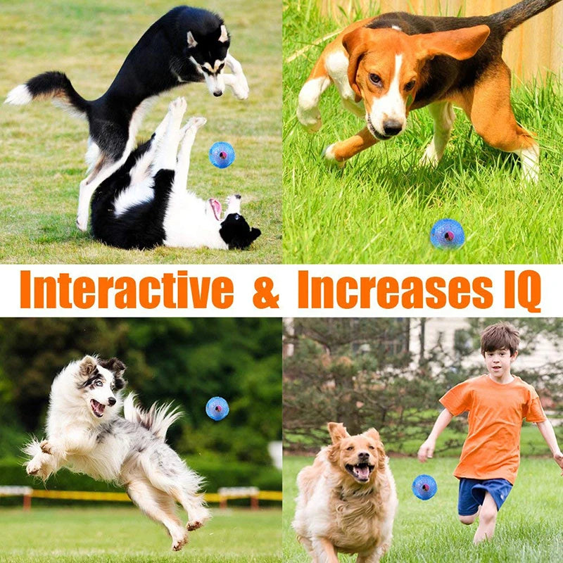 Durable IQ Treat Ball For Dogs