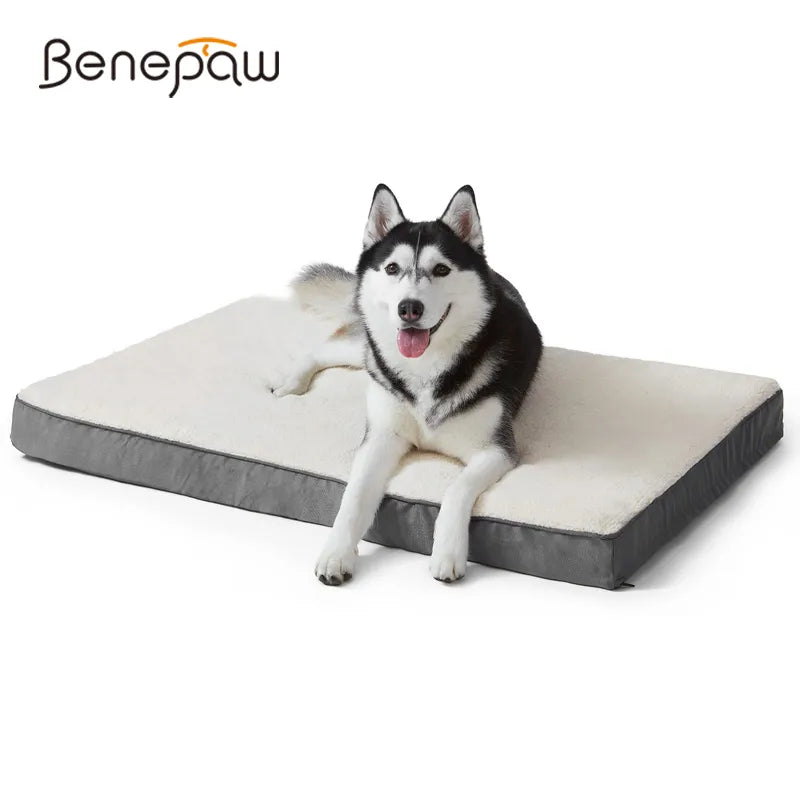 Orthopedic Memory Foam Dog Bed